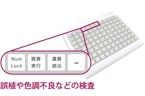 誤植や色調不良などの検査